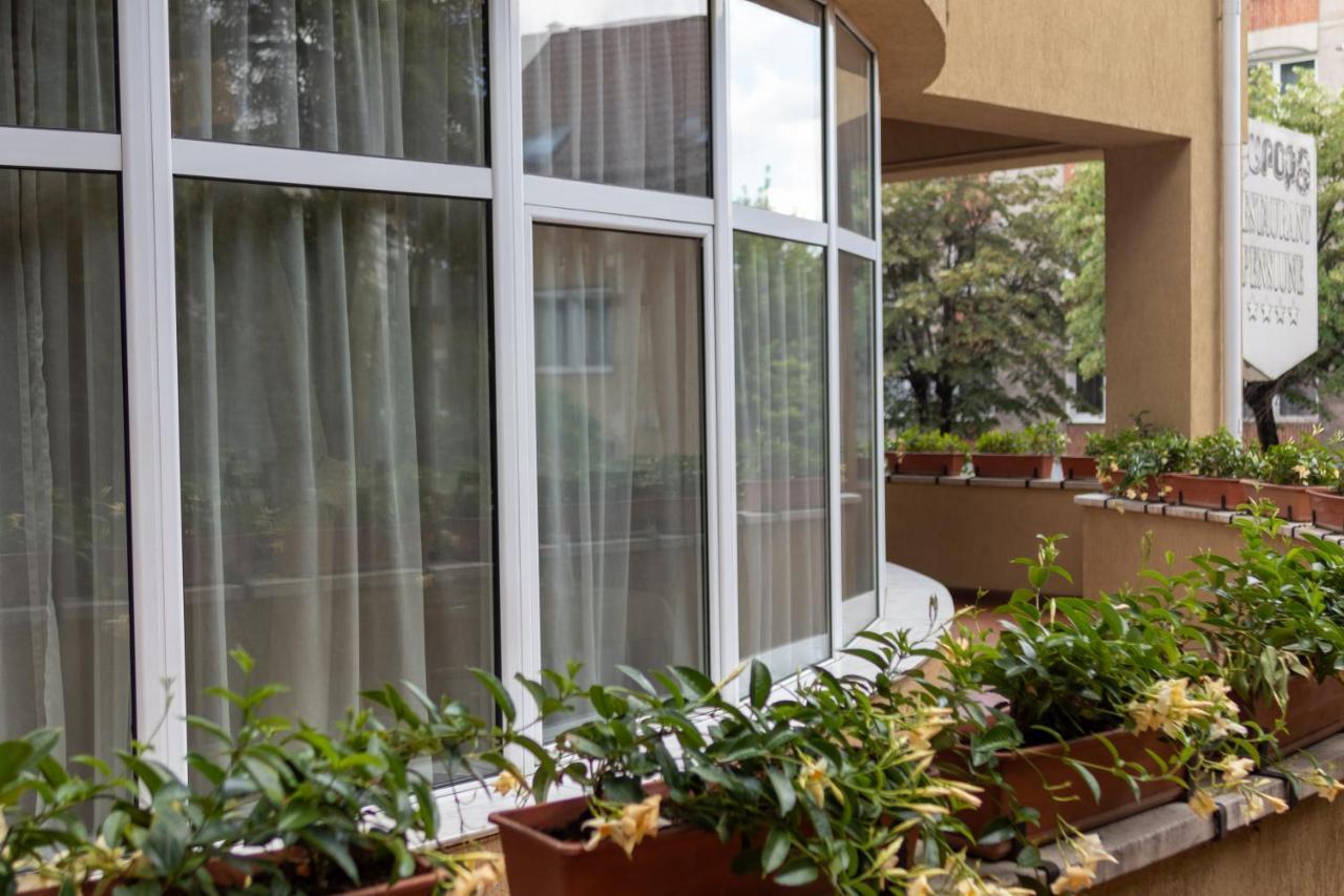 Pensiunea Europa Târgu-Mureş Exterior foto