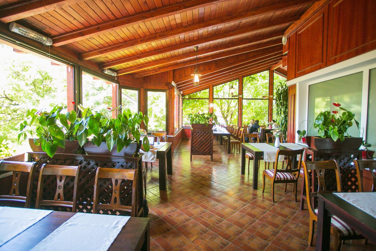 Pensiunea Europa Târgu-Mureş Exterior foto