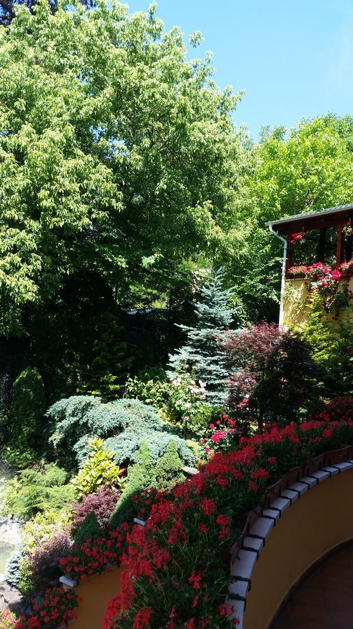 Pensiunea Europa Târgu-Mureş Exterior foto
